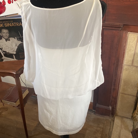 🦊 B Smart cream dress. Half body is sequined. - Picture 4 of 5